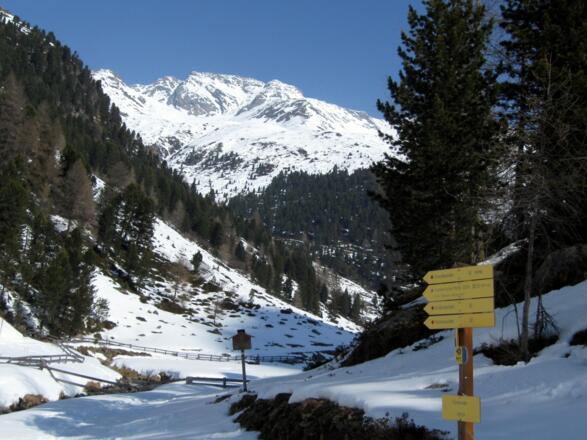 An dieser Stelle verlässt man die Forststraße und benutzt die Abkürzung hinauf zur Schweinfurter Hütte.