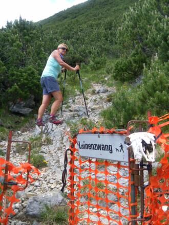 Durchschlupf Almzaun