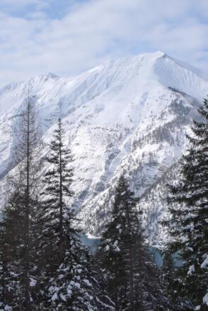 Blick auf die Seekarspitze mit der breiten, von Skitourengängern befahrenen Ostflanke