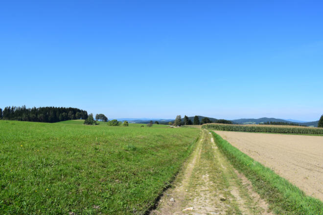 Nördlich des Moserberges, mit Blick in den Norden bis nach Tschechien