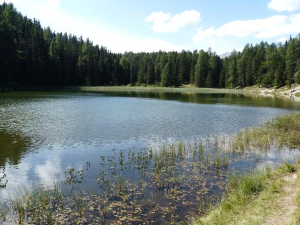 Grüner See - ein Naturjuwel
