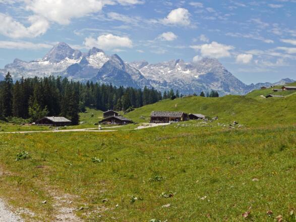 Kallbrunnalm mit Blick auf die Loferer Steinberge