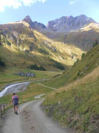 Zedlacher Alm