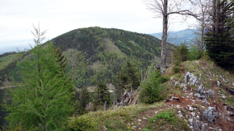 Gratweg mit Hochbuchberg