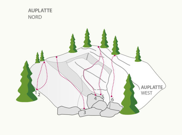 Klettergarten Auplatte
