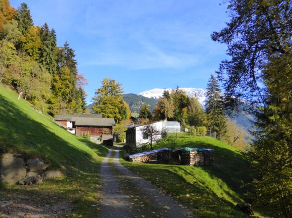 Wohnhäuser in der Nähe vom Kloster Gauenstein