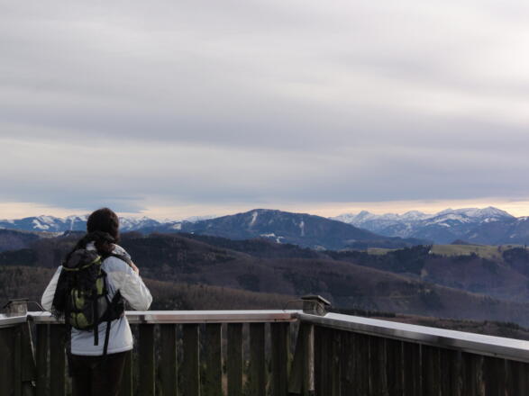 Von der Dambergwarte gibt es einen schönen Rundblick