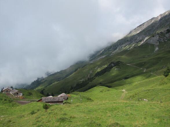 Bei der Hochschere (19. August 2013)