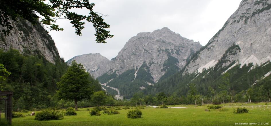 Im Stallental 1180m