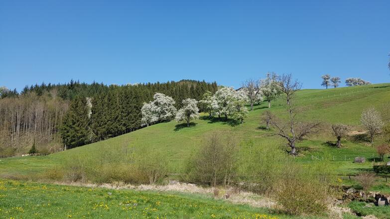 nach Ertl, hügeliges Mostviertel