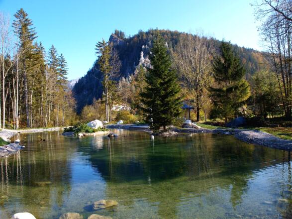 Poppenberg vom Teich 575m bei der Pension Prielkreuz gesehen.