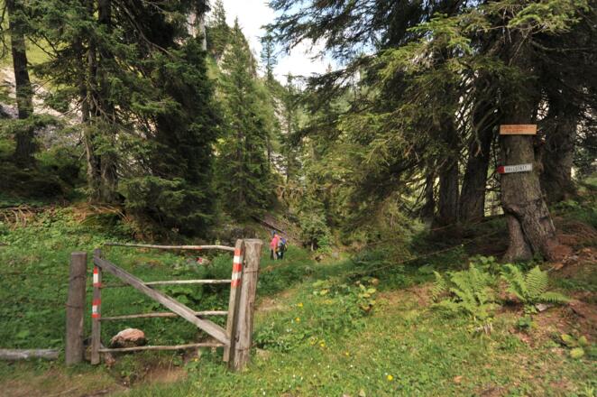 Am Ende der Plankensteinalm erreichen wir am Fuße der Hohen Scheibe ein Gatter