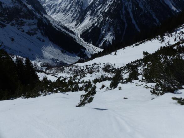 Ein kleines Hindernis bei wenig Schnee ist der Latschenabschnitt.