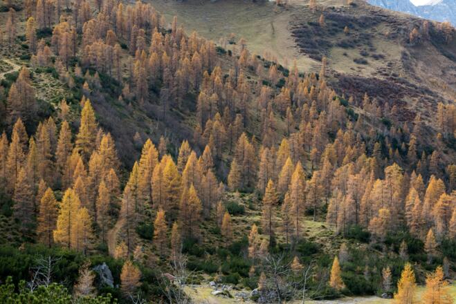 Herbstfarben