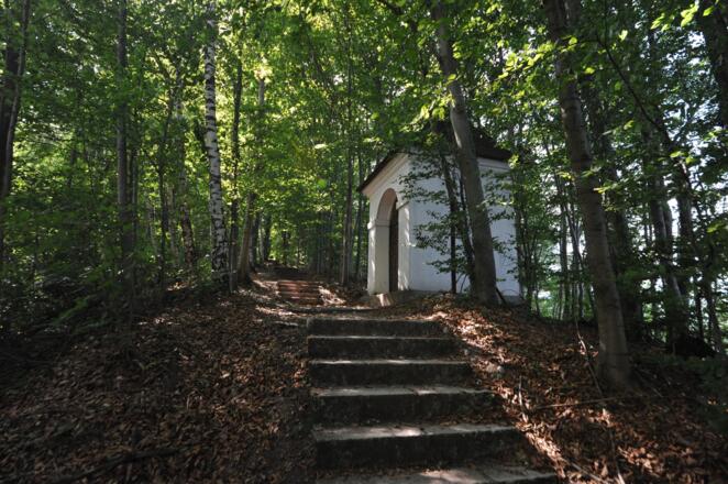 Auf dem Kreuzweg Richtung Kalvarienbergkapelle