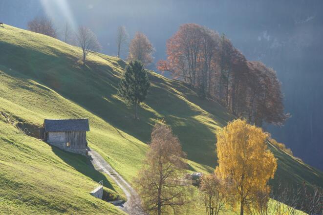 Kurz nach dem Start in Richtung Weiler Ahorn