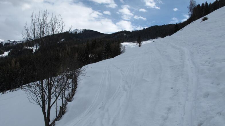 ...den Gipfel immer vor sich...