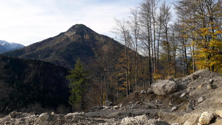 Eibenberg Blick