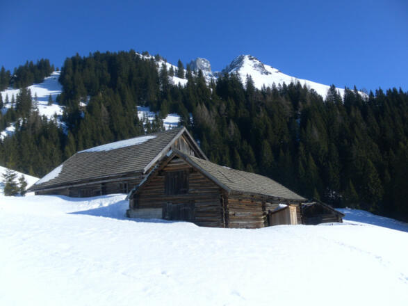 Arzbergalm