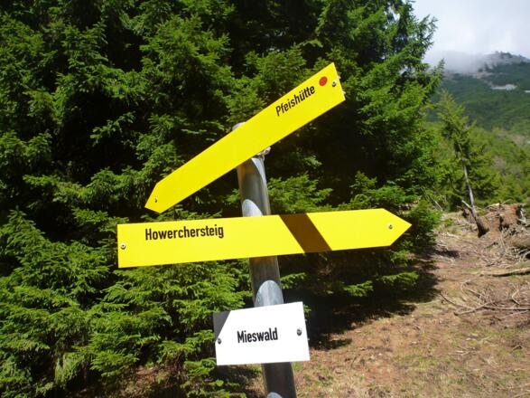 immer Richtung Pfeishütte