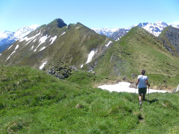 Kamm zum Hirschkopf
