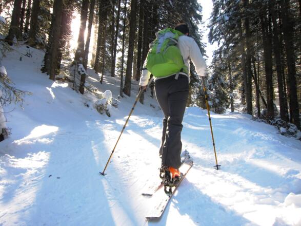 Ein alter Karrenweg eröffnet eine empfehlenswerte Abkürzung zur Studlalm.
