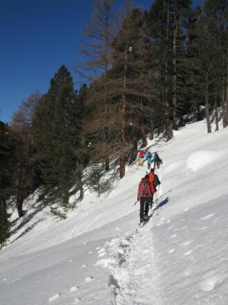 Es geht auf dem gleichen Weg zurück im Hang.