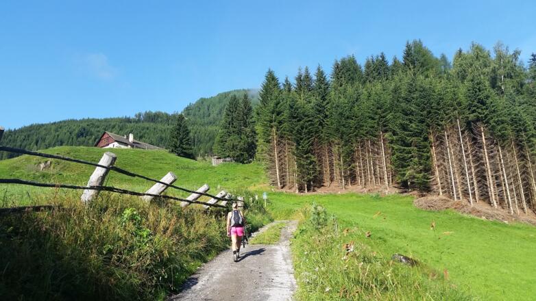 Folgen Sie den Forstweg