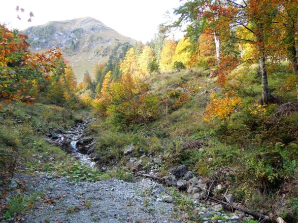 Baumgartenbach, Blick zum Baumgartenjoch
