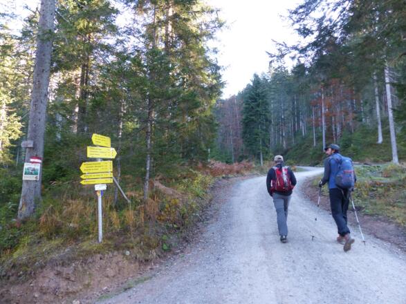 Bei der ersten Weggabelung bleiben wir rechts.