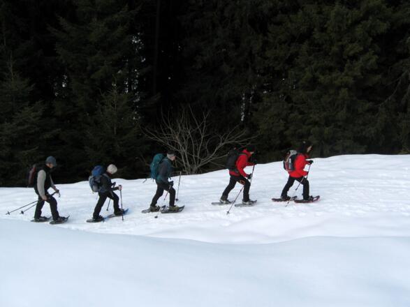 Schneeschuhgruppe kurz vor Eintreffen auf der Hochsinnalm.