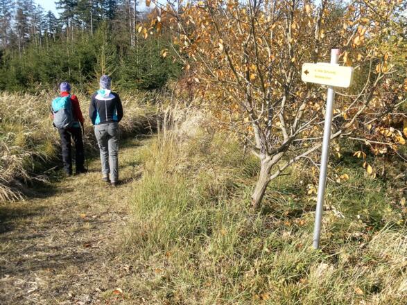 am alten Schulweg