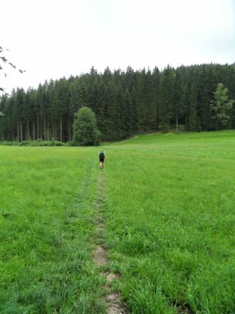 Feldweg in Richtung Unterweißenbach