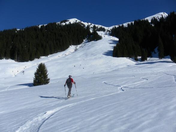 Schützkogel über der Luegeggalm