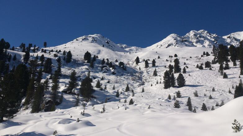 Links im Bild die Abfahrt durch lichten Wald.