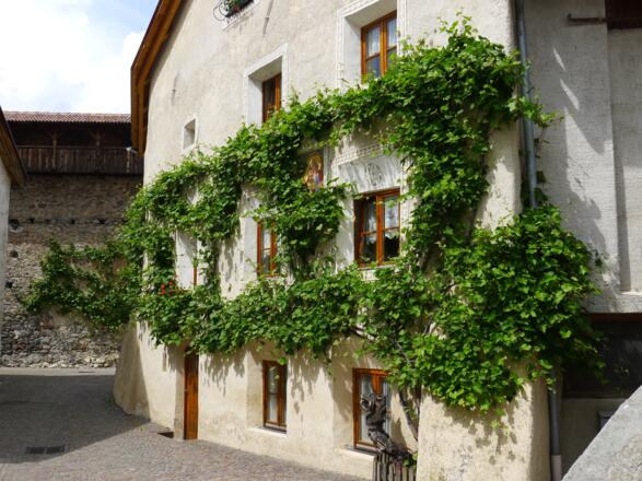 Altes Haus in Glurns mit Weinstock, im Hintergrund die Stadtmauer