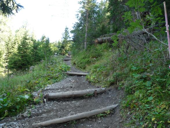 Der Trail beinhaltet kurz vor dem Grünen See eine Schiebestrecke von wenigen Minuten.