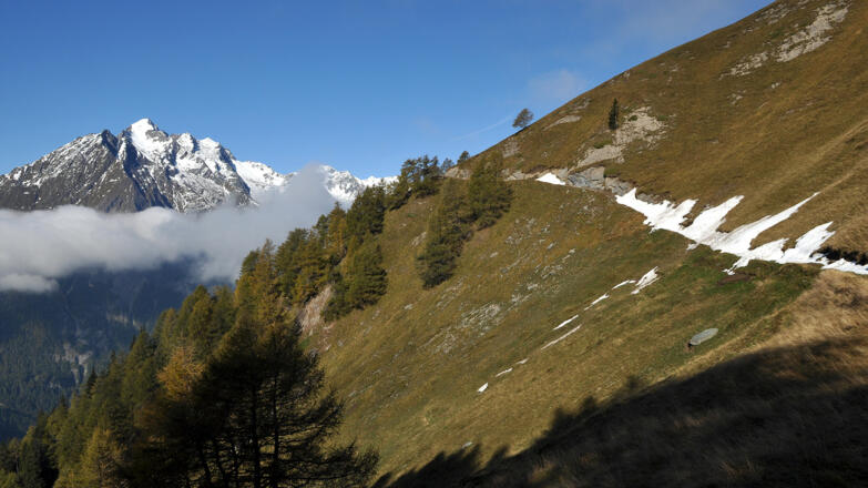 Weg zur Edelweißwiese, Ochsenbug