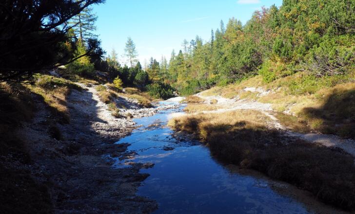 Rinner Bach um 1500m