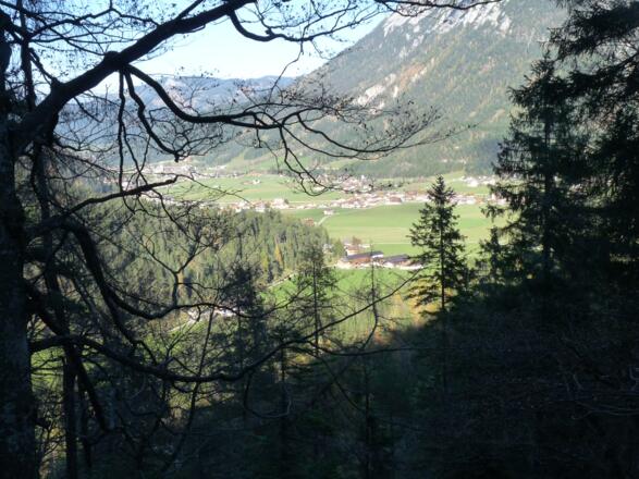 Durch einen schönen Fichten-Buchenwald steigen wir durchwegs steil ins Oberautal mit Blick auf Achenkirch ab.