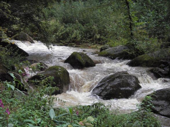 lohnender Abstecher (zu Fuß) Klambach zwischen Saxen und Klam