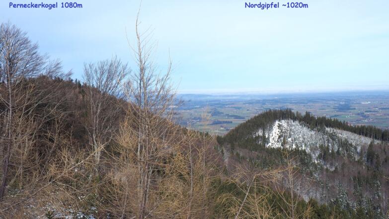 Nordgipfel 1020m vom Eiskogel gesehen