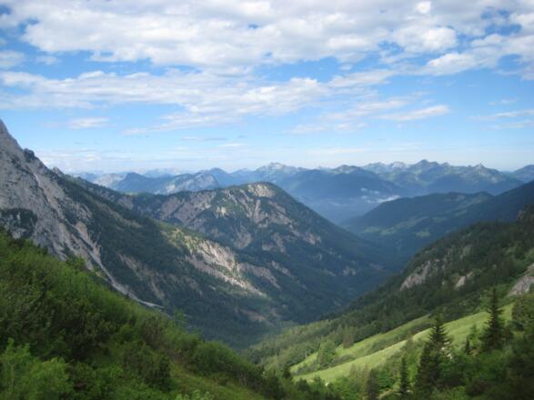 Im Kaiserbachtal (4. Juni 2011)