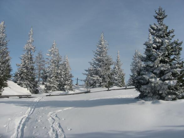 Der Gipfel des Waldrasterjöchl.