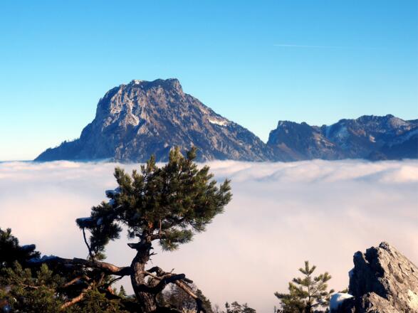 Traunstein vom Sonnsteingipfel