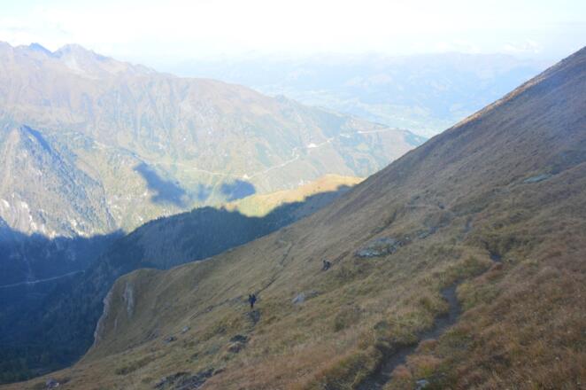 Kurz hinter der Brandlscharte - weitläufige Bergwiesen gehen langsam in den Bergwald über