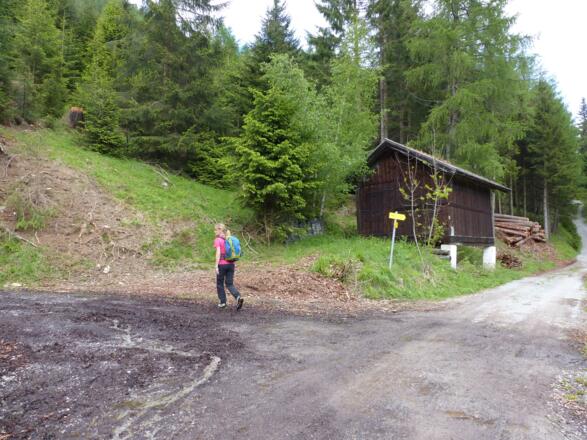 Nach einem kurzen Aufstieg, zweigt vor einer Hütte linkerhand eine Forstraße ab, der man folgt.