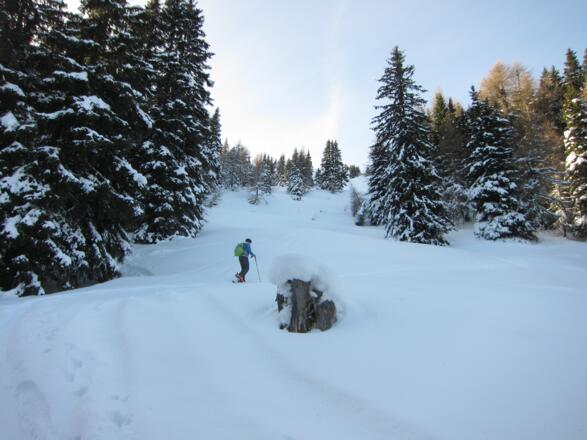 ... mal schmäler und ...