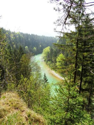Entlang der Steyr geht es nach Süden.