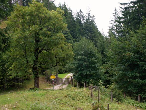 Am Sauboden 1152m